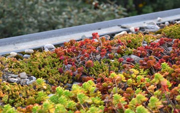 the cost of Woolmer Hill green roof installation