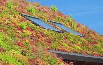 Woolmer Hill living roof systems