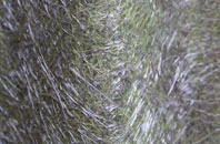 Woolmer Hill fibreglass roof work